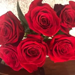 Meet your Posher, Kendall